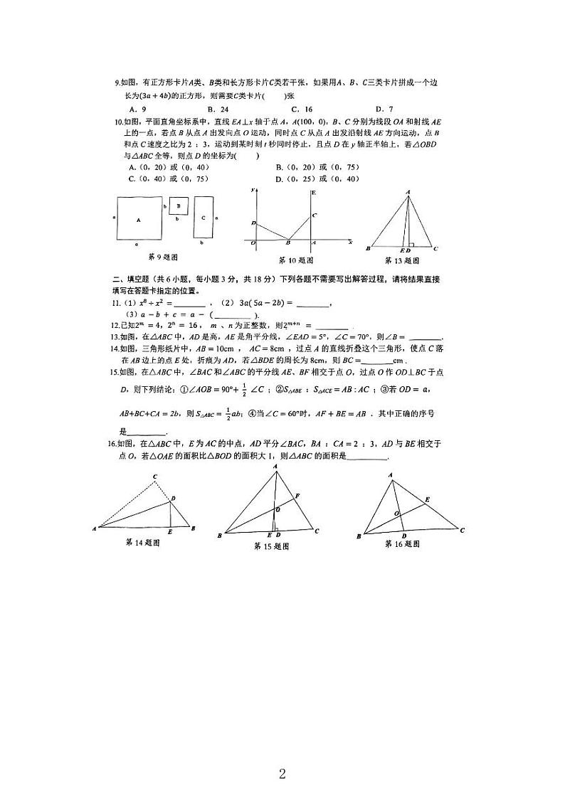 湖北省武汉市东湖高新区2023—2024学年上学期八年级期中数学试题02
