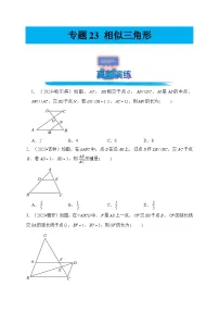 专题23 相似三角形（真题演练、精选模拟）--2024年中考数学一轮复习（全国通用）