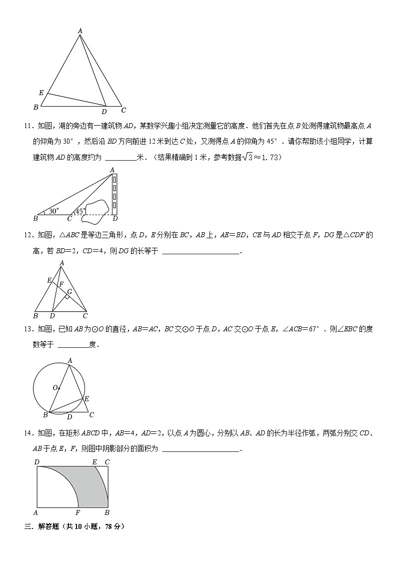 山东省青岛市莱西市三校联考2023-2024学年八年级上学期期中数学试卷03