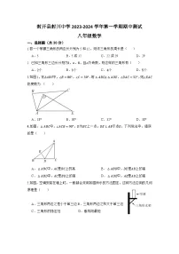 广东省肇庆市封开县封川中学2023—-2024学年八年级上学期11月期中数学试题