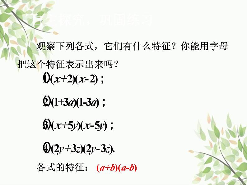 北师大版数学七年级下册 1.5 平方差公式第1课时 平方差公 式的认识-课件04