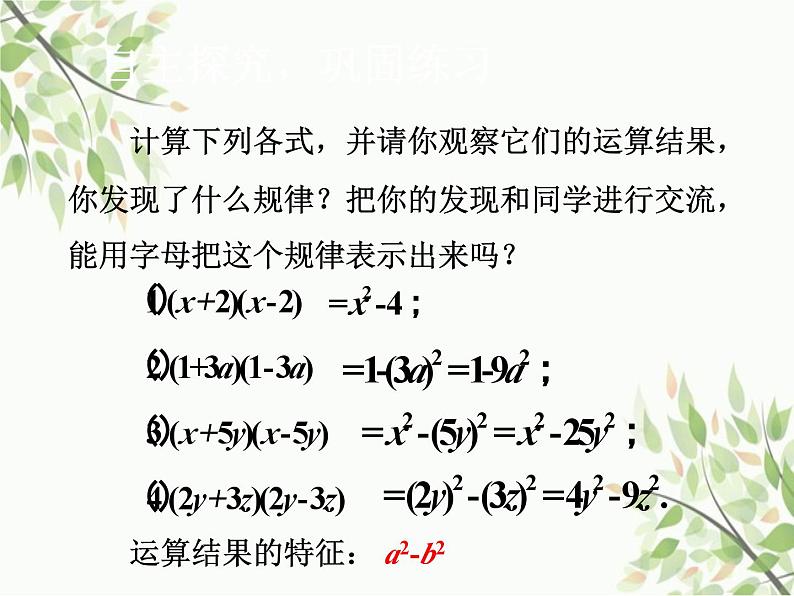 北师大版数学七年级下册 1.5 平方差公式第1课时 平方差公 式的认识-课件05