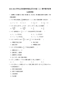 山东省泰安市泰山区2023-2024学年九年级上学期期中数学试卷(五四制)
