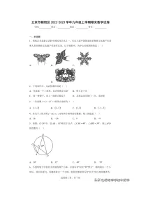 北京市朝阳区2022-2023学年九年级上学期期末数学试卷(含答案)