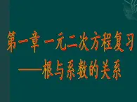 湘教版数学九年级上册 第一章一元二次方程复习课件