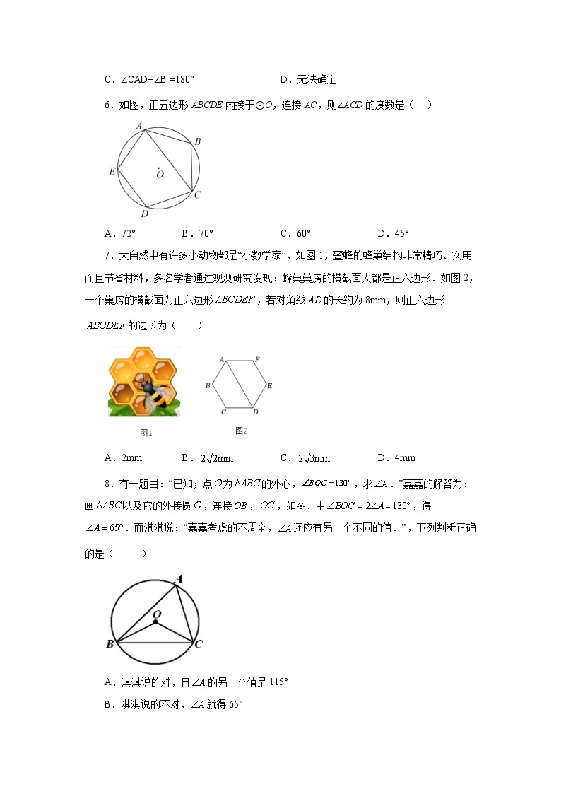 人教版九年级数学上册 24.28 正多边形与圆（基础篇）（专项练习）02