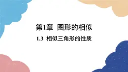 青岛版数学九年级上册 1.3 相似三角形的性质课件