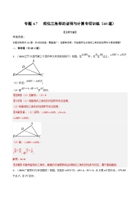 北师大版九年级数学上册 专题4.7 相似三角形的证明与计算专项训练（60道）（举一反三）（学生版）