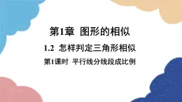 青島版數(shù)學(xué)九年級上冊 1.2第1課時(shí) 平行線分線段成比例課件