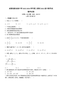 四川省成都市成都高新实验中学2023-2024学年九年级上学期期中数学试题(无答案)