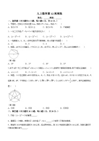 江苏省南京市浦口区南京书人实验学校2023-2024学年九年级上学期期中数学试题