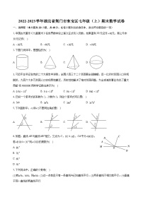 2022-2023學(xué)年湖北省荊門市東寶區(qū)七年級(jí)(上)期末數(shù)學(xué)試卷(含答案解析)