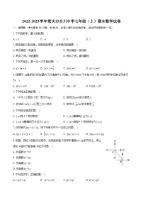 2022-2023学年重庆市合川中学七年级（上）期末数学试卷（含答案解析）