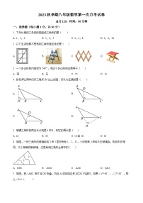 广东省雷州市2023-2024学年八年级上学期第一次月考数学试题