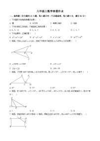 八年级上数学寒假作业 (6)