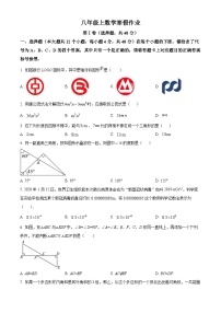 八年级上数学寒假作业 (7)