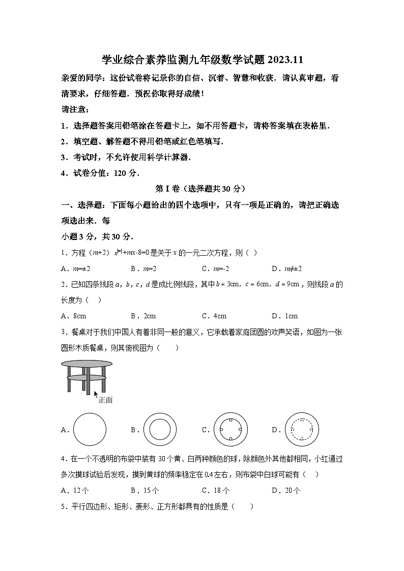 山东省枣庄市薛城区2023-2024学年九年级上学期期中考试数学试题(含解析)01