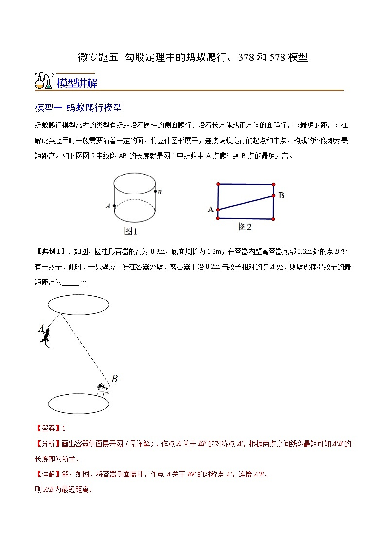 苏科版八年级数学上册同步精品讲义 第16讲 微专题五 勾股定理中的蚂蚁爬行、378和578模型(教师版)第1页