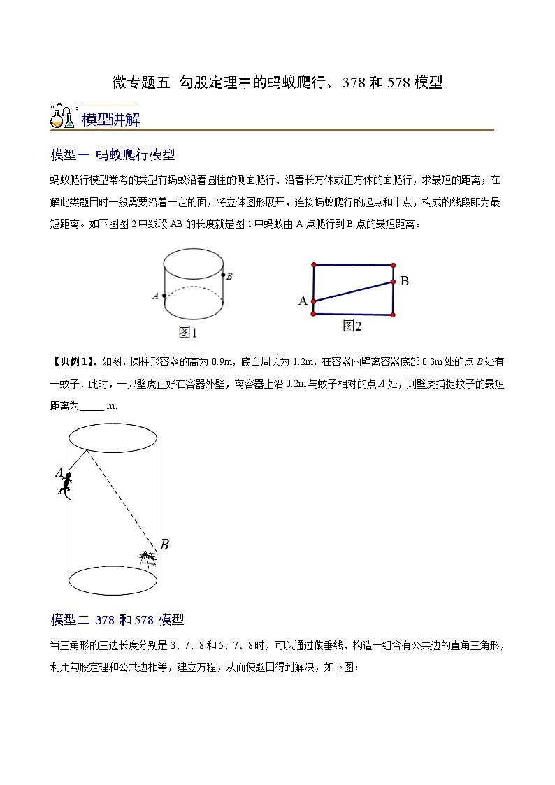 苏科版八年级数学上册同步精品讲义 第16讲 微专题五 勾股定理中的蚂蚁爬行、378和578模型(学生版)第1页