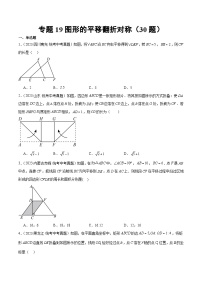 专题19 图形的平移翻折对称（共30题）-备战2024年数学中考之真题分项汇编（全国通用）