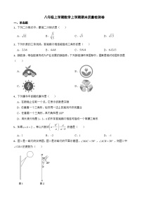 安徽省合肥市2023年八年级上学期数学上学期期末质量检测卷附答案