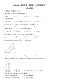 河南省周口市太康县2023-2024学年九年级上册期中数学试题（含解析）