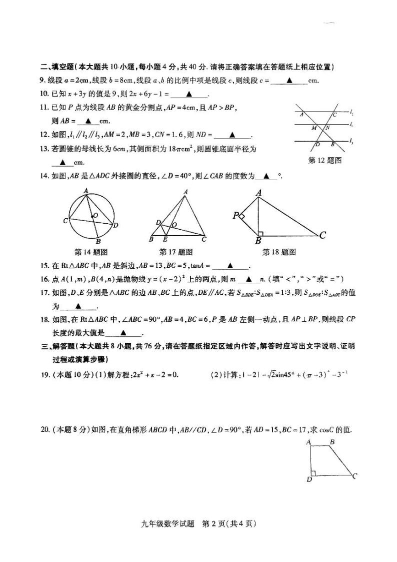 2023-2024学年度徐州沛县九年级上册第一学期第二次月考数学试题与答案02
