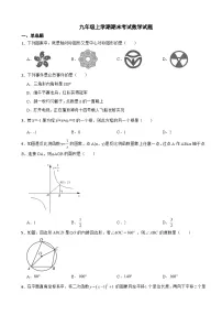 广东省阳江市2023年九年级上学期期末考试数学试题附答案