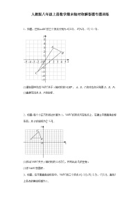 【期中复习】人教版 初中数学八年级上册数学期末轴对称解答题专题训练（含解析）