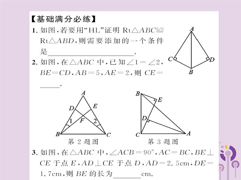 中考数学总复习第四章第四节全等三角形课件第5页