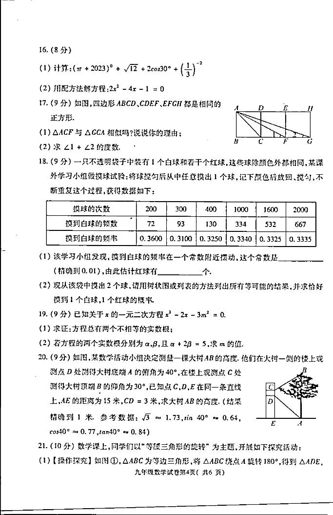 河南省洛阳市新安县2023-2024学年九年级上学期期末质量检测数学试卷03