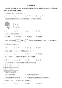 安徽省宿州市泗县2023-2024学年八年级上册月考数学试题（含解析）
