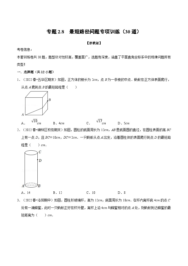 浙教版-2023年八年级上册数学举一反三系列 专题2.8 最短路径问题专项训练（30道）（学生版+教师版）01