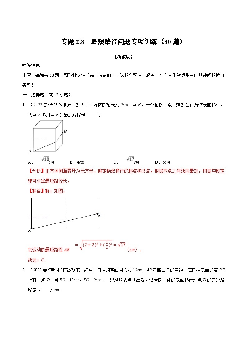 浙教版-2023年八年级上册数学举一反三系列 专题2.8 最短路径问题专项训练（30道）（学生版+教师版）01