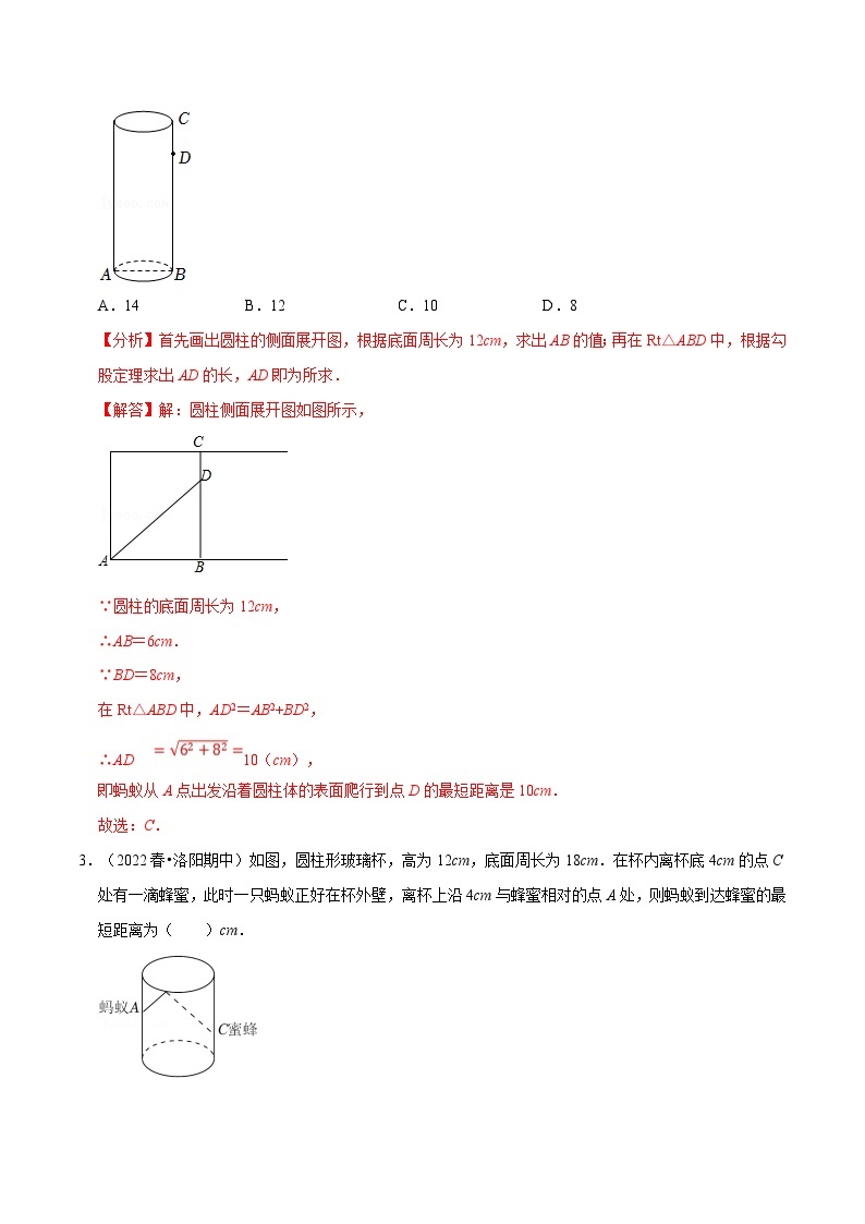 浙教版-2023年八年级上册数学举一反三系列 专题2.8 最短路径问题专项训练（30道）（学生版+教师版）02