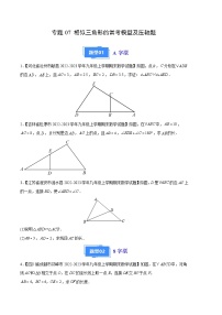 专题07 相似三角形的常考模型及压轴题-【备考期末】2023-2024学年九年级数学上学期期末真题分类汇编（北师大版）