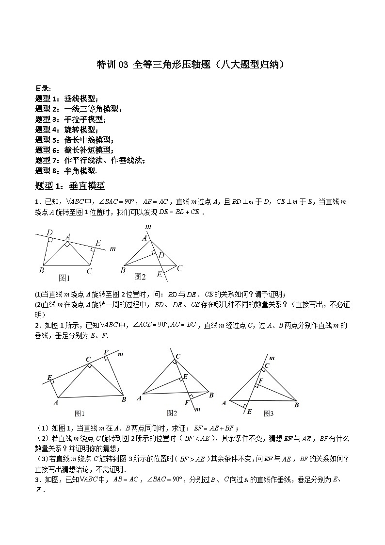 特训03 全等三角形压轴题(八大题型归纳)(原卷版)第1页
