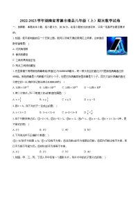 2022-2023学年湖南省常德市澧县八年级(上)期末数学试卷(含解析)