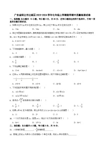 广东省阳江市江城区2023-2024学年七年级上学期数学期中质量检测试卷