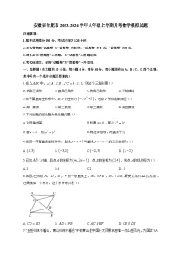 安徽省合肥市2023-2024学年八年级上学期月考数学模拟试题（含答案）
