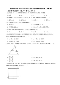 安徽省阜阳市2023-2024学年九年级上学期期中数学试题+