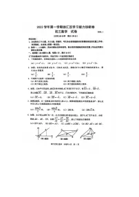 上海市徐汇区2023-2024学年上学期学习能力诊断卷九年级数学学科试题(一模)