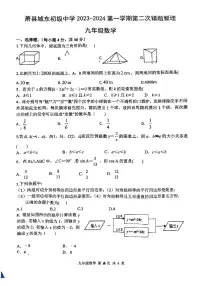 安徽省宿州市萧县城东初级中学2023-2024学年九年级上学期12月月考数学试题