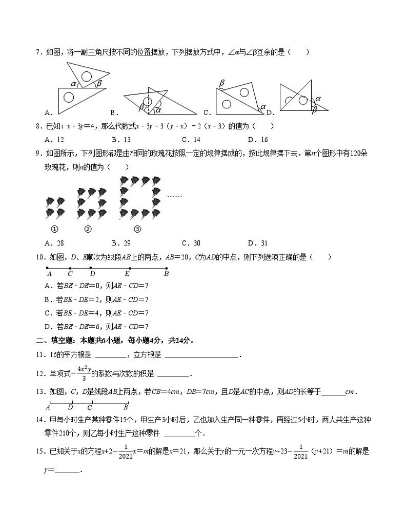 期末模拟卷01(考试版)【测试范围:第1-6章】(浙教版)A4版第2页
