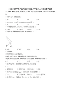 2022-2023学年广西河池市环江县八年级（上）期末数学试卷(含解析）