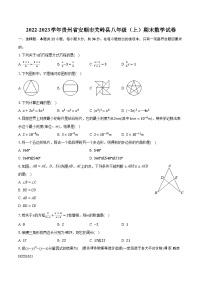 贵州省安顺市关岭县2022-2023学年八年级上学期期末数学试卷