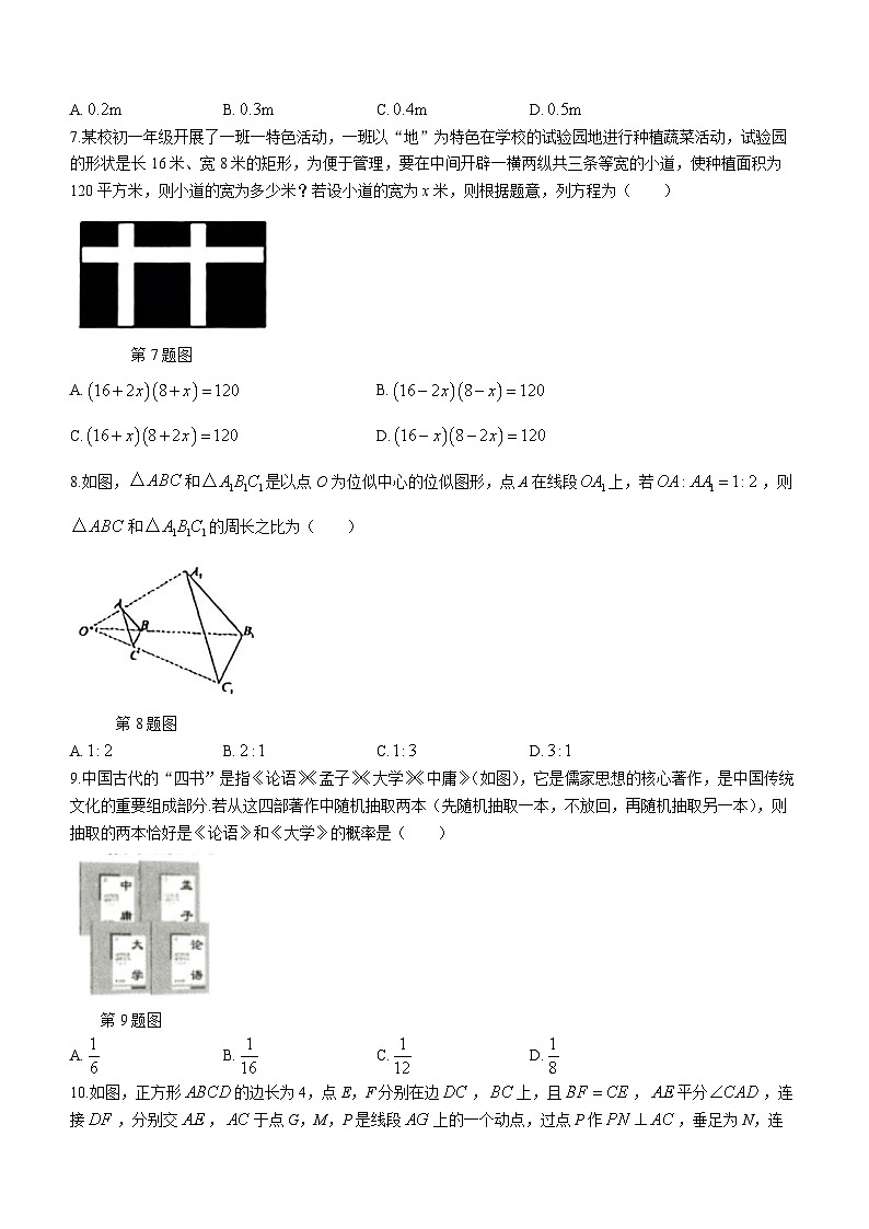 辽宁省阜新市彰武县2023-2024学年九年级上学期期末数学试题第2页