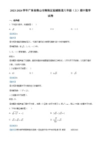 广东省佛山市南海区桂城街道2023-2024学年八年级上学期期中数学试题