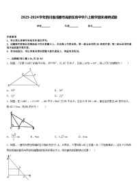 2023-2024學(xué)年四川省成都市高新實(shí)驗(yàn)中學(xué)八上數(shù)學(xué)期末調(diào)研試題含答案