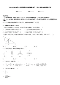 2023-2024学年四川省营山县联考数学八上期末学业水平测试试题含答案